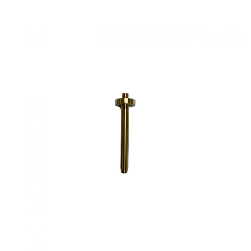 Plafondarm Milaan Brushed Gold
